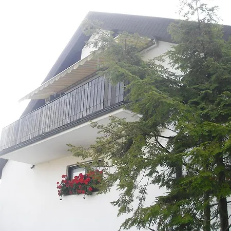 Gaestehaus Cramer Penzion 4*