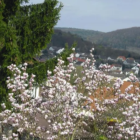 Guest house Gastehaus Cramer 4*